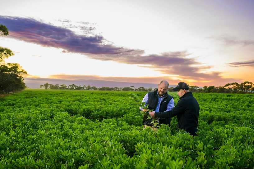 Farmer and Viterra rep in field at sunset